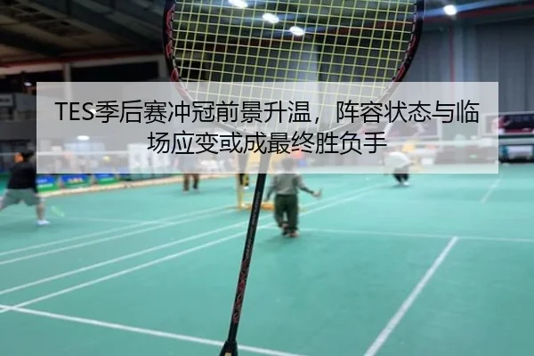 TES季后赛冲冠前景升温，阵容状态与临场应变或成最终胜负手